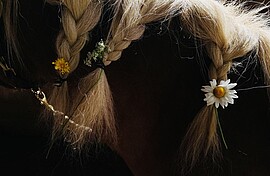 Banner Kindertrauergruppe (1x monatlich)
