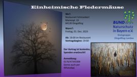 Banner Einheimische Fledermäuse