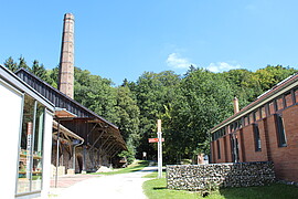 Banner Tolle Sonnengesichter und Sonnengötter