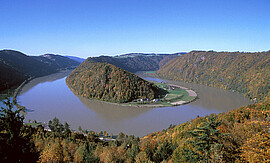 Banner Ausflug an die Donau
