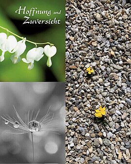 Banner Hospizbüro Landau geöffnet - Oberer Stadtplatz 16