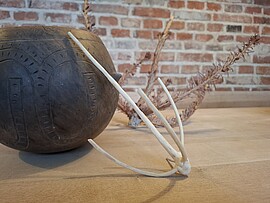 Banner Archäologie-Club für Kinder "Quirle aus Tannenbaumspitzen"