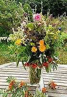 Logo Kräuter von dahoam umanand zu Mariä Himmelfahrt (15.08.)