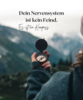 Banner ​​​Dein Nervensystem ist dein Kompass 