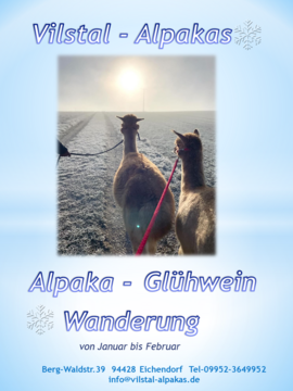 Banner Alpaka Glühwein-Wanderung Sonntags