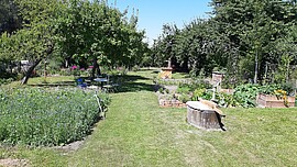 Banner 5. Straubinger Pflanzentauschbörse