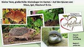 Banner Kleine Tiere, große Rolle: Kleinsäuger im Garten – Auf den Spuren von Maus, Igel, Maulwurf & Co.