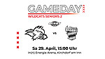 Logo Kirchdorf Wildcats II vs Erding Bulls