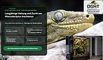 Logo Langjährige Haltung und Zucht von Rhacodactylus leachianus