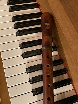 Banner „Volksmusik im Museum“