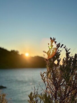 Banner Mein Nervensystem & Ich 