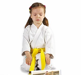 Banner Karate Neueinsteigerkurs für Kinder 5-8 Jahre