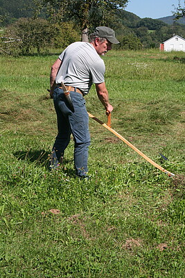 Banner Sensen, dengeln und wetzen - nachhaltig mähen mit der Sense