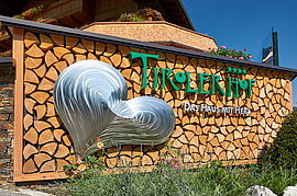 Banner BCA Vereinsausflug - Flachau