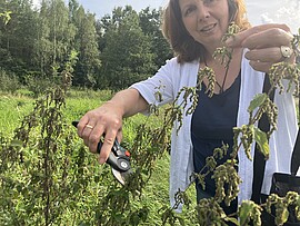 Banner Kräuterwanderung im Rottal - Bayerns Wildkräuter erkennen und die Natur hautnah erleben