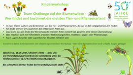 Banner Kinder-Workshop: Teamchallenge auf der Blumenwiese - Wer findet und bestimmt die meisten Tier- und Pflanzenarten?