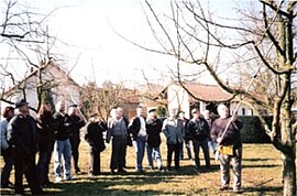 Banner Obstbaum-Schneidekurs