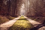 Logo 11.07.2026 Spaziergang für Trauernde in Landau