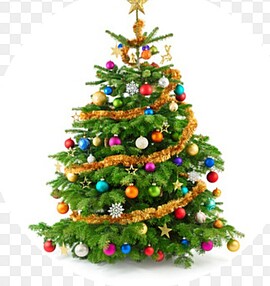 Banner Entfällt: Versteigerung Schützen Bachhausen