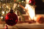 Logo Christbaumversteigerung der FF Schwarzach