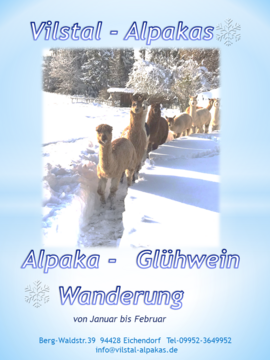 Banner Alpaka Glühwein-Wanderung Sonntags