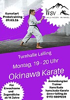 Logo Okinawa Karate für Erwachsene