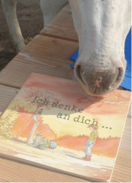 Banner pferdegestützte Trauerbegleitung: Basis-Seminar