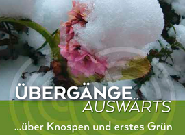 Banner Übergänge auswärts ... über Knospen und erstes Grün