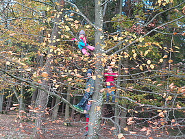 Banner Herbstwanderung mit den Gartenzwergen