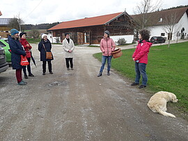 Banner Wanderung mit Kräuterpädagogin Martina Glück