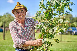 Banner Hopfenfest mit dem Heimat- und Trachtenverein Herrenau e.V.