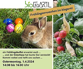 Banner Frühlingserwachen – Der Osterhase kommt ins biogartl
