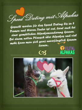 Banner Speed Dating - Alpaka-Wanderung