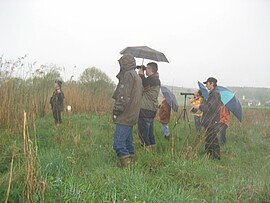 Banner Vogelstimmenwanderung mit Johann Watzl