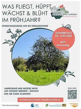 Banner Was fliegt, hüpft, wächst und blüht im Frühjahr? Entdeckungsreise auf die Streuobstwiese 