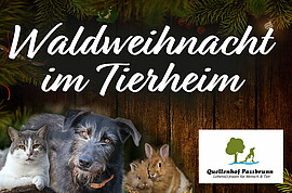 Banner Waldweihnacht im Tierheim