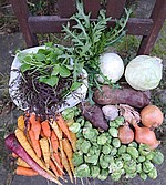 Logo Infoabend biogartl – Solidarische Landwirtschaft