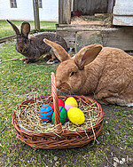 Logo Ostereiersuche auf dem Bauernhof