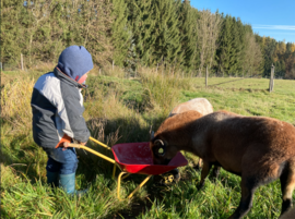 Banner Zwergerltreff | Gruppe II - donnerstags