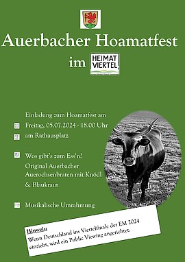 Banner Auerbacher Hoamatfest