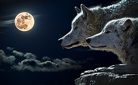 Banner Vollmond-Trommeln für Frieden in unseren Herzen und auf Mutter Gaia