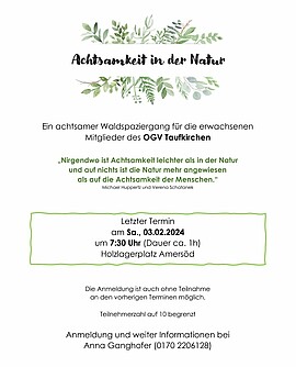 Banner Achtsamer Waldspaziergang