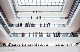 Banner Joseph Haydn: Die Schöpfung