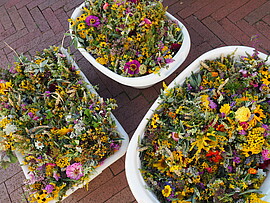 Banner Kräuterbuschen-Binden