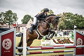 Banner Michaeli Reit- und Springturnier Arnstorf