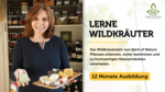 Logo Online: Zertifizierte Ausbildung in Wildkräuterkunde - das Kräuterjahr von Spirit of Nature