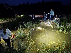 Banner Amphibienexkursion für Kinder und Jugendliche