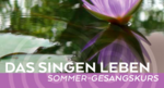 Logo Sommer-Gesangskurs 