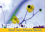 Logo Frühling lässt sein blaues Band ... über Frühblüher und die ersten Wildkräuter