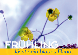 Banner Frühling lässt sein blaues Band ... über Frühblüher und die ersten Wildkräuter